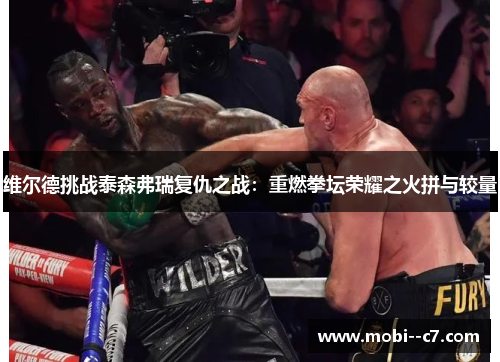 维尔德挑战泰森弗瑞复仇之战:重燃拳坛荣耀之火拼与较量 维尔德挑战泰森弗瑞复仇之战:重燃拳坛荣耀之火拼与较量