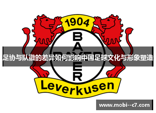 足协与队徽的差异如何影响中国足球文化与形象塑造 足协与队徽的差异如何影响中国足球文化与形象塑造