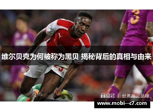 维尔贝克为何被称为黑贝 揭秘背后的真相与由来