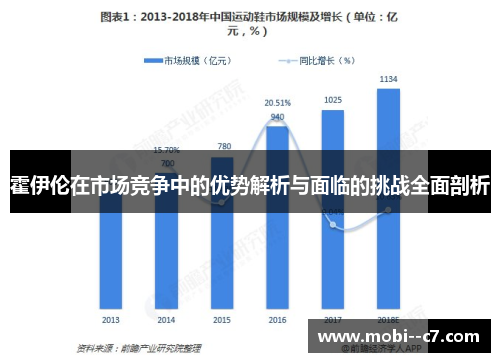 霍伊伦在市场竞争中的优势解析与面临的挑战全面剖析