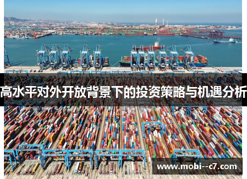 高水平对外开放背景下的投资策略与机遇分析