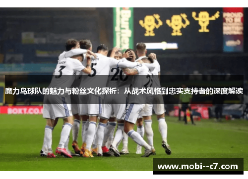 魔力鸟球队的魅力与粉丝文化探析：从战术风格到忠实支持者的深度解读