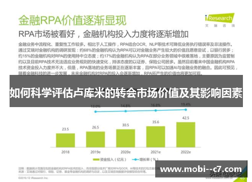 如何科学评估卢库米的转会市场价值及其影响因素