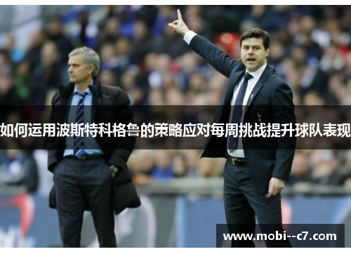 如何运用波斯特科格鲁的策略应对每周挑战提升球队表现