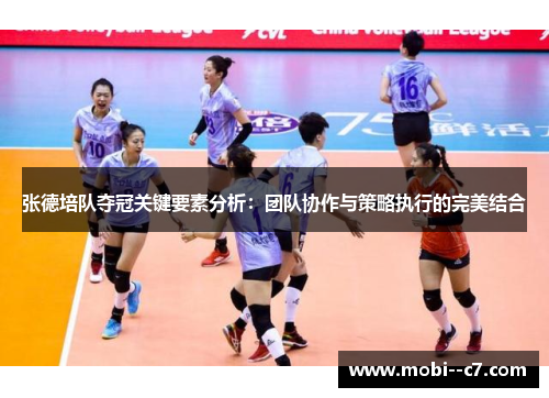 张德培队夺冠关键要素分析:团队协作与策略执行的完美结合 张德培队夺冠关键要素分析:团队协作与策略执行的完美结合