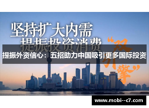 提振外资信心:五招助力中国吸引更多国际投资 提振外资信心:五招助力中国吸引更多国际投资