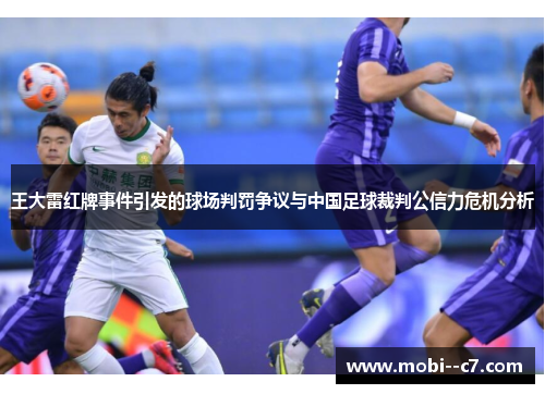 王大雷红牌事件引发的球场判罚争议与中国足球裁判公信力危机分析