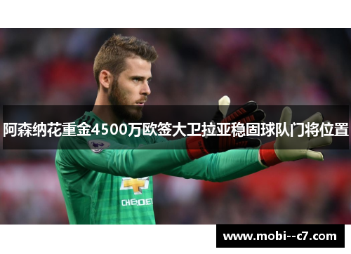阿森纳花重金4500万欧签大卫拉亚稳固球队门将位置